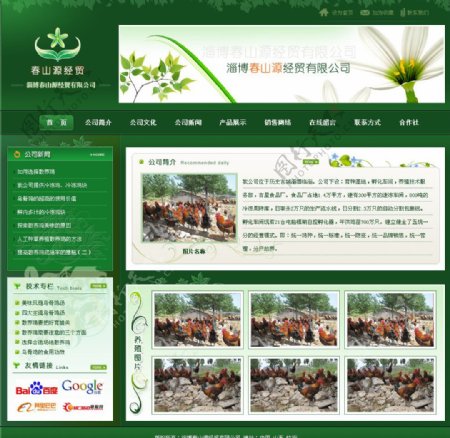 春山源网站网站效果图网站模板绿色山鸡蛋图片