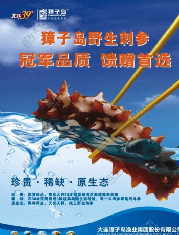 筷夹海参獐子岛图片
