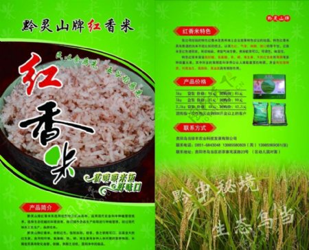红香米宣传单图片
