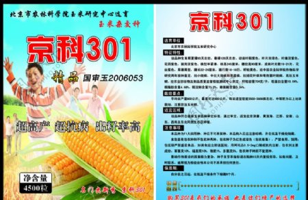 玉米宣传单图片