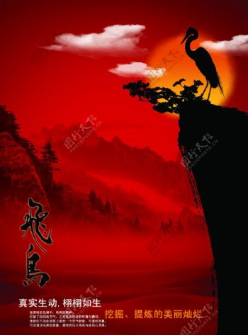 古典中国之飞鸟图片