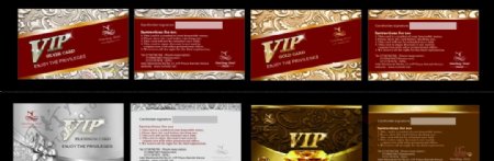 VIP贵族专用卡图片