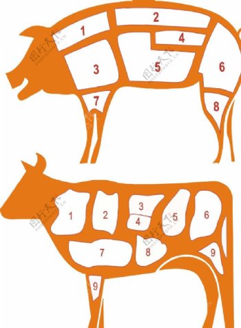 猪牛分割图图片
