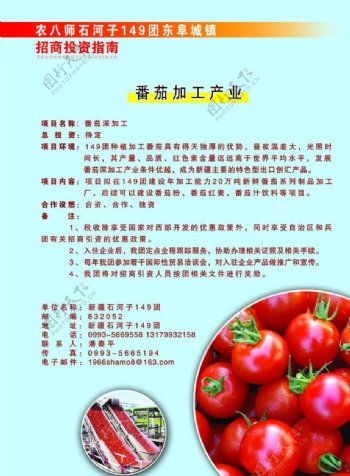 番茄厂产品加工宣传单图片