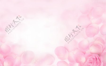 粉色背景梦幻唯美清新图片