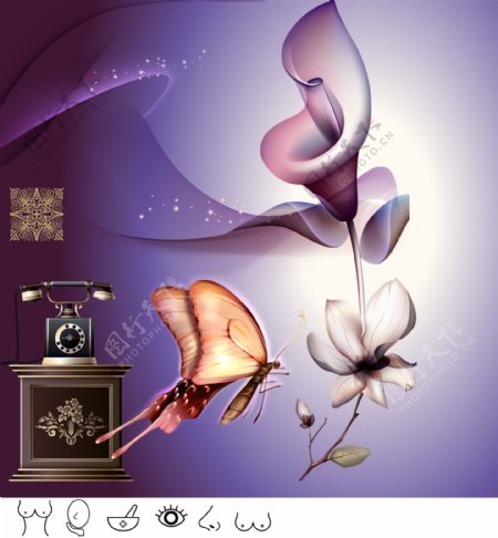 美容紫色花朵图片