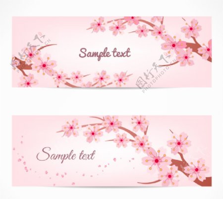 樱花素材粉色樱花海报素材图片