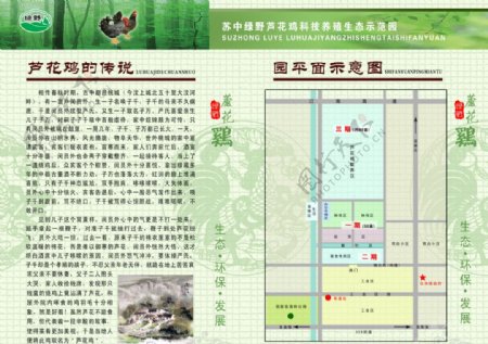 芦花鸡文化园区平面示意图图片