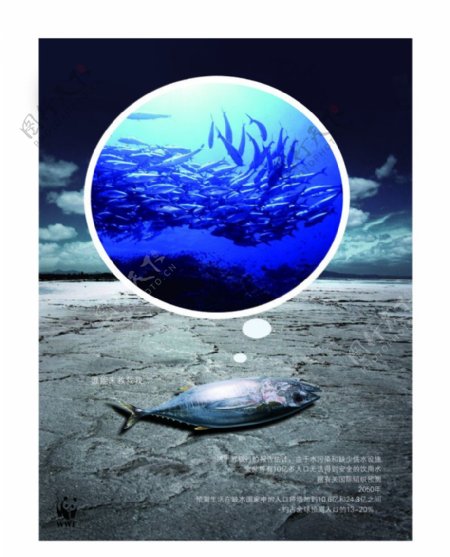 公益广告海鱼图片
