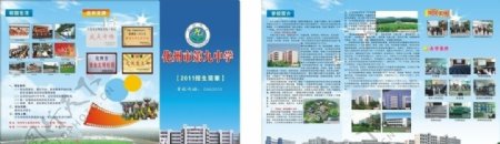 学校宣传单图片