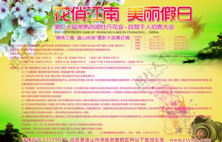 尚湖牡丹花卉摄影海报图片