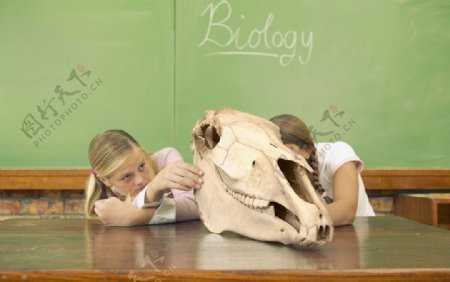 看化石的小学生图片