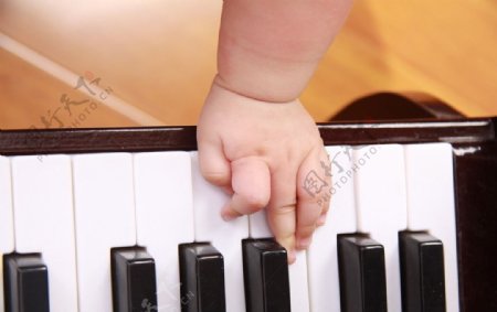 钢琴上的婴儿小手图片