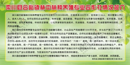 农业合作社版面图片