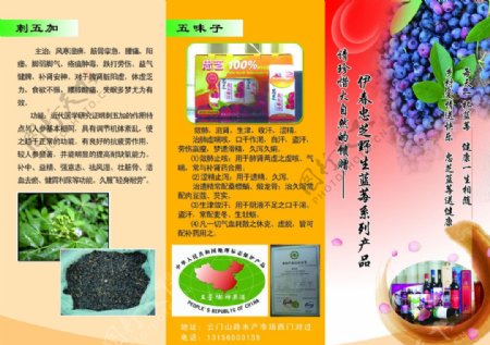 蓝莓绿色保健食品宣传三折页图片