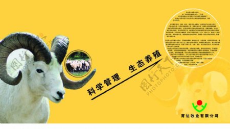 画册山羊饲养彩页广东图片