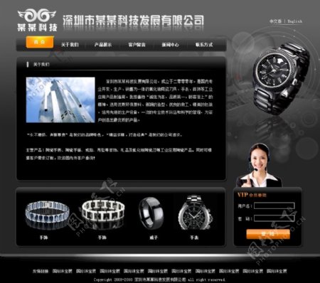 2010PSD黑色风格网页图片