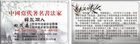 中国当代书法图片