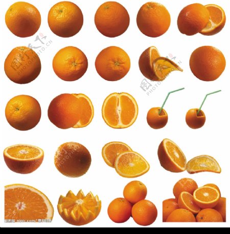 收集的橙子图片