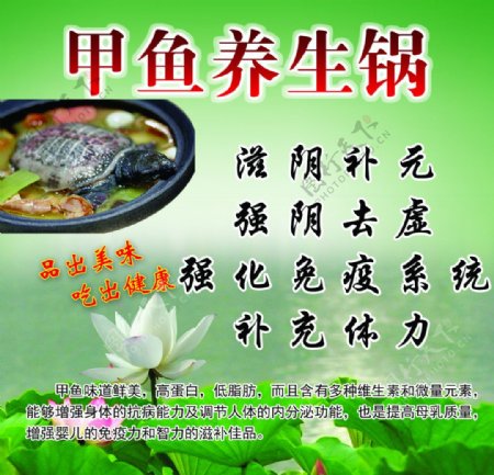 甲鱼养生锅宣传海报图片
