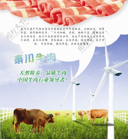 牛肉海报图片