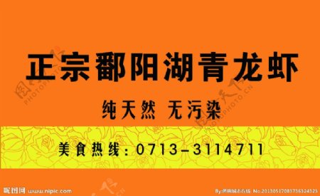 鄱阳湖青龙虾图片