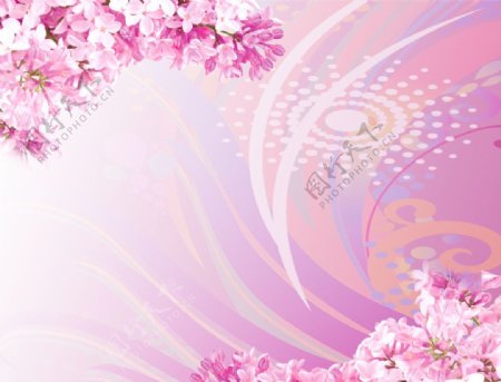 花簇梦幻背景图片