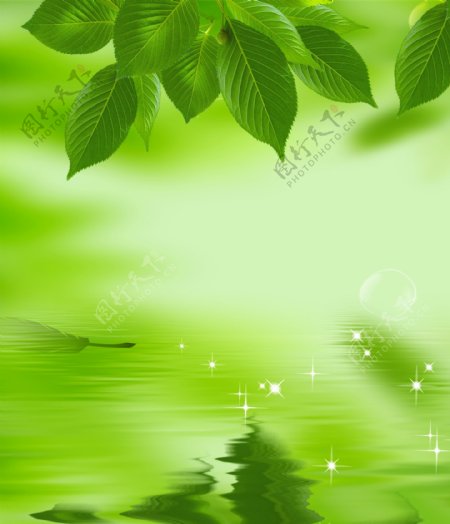 绿色海报树叶图片