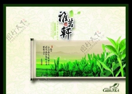 绿茶包装长方形图片