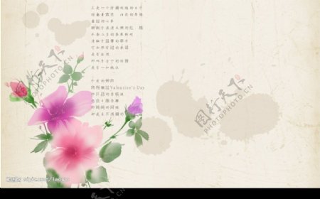 花朵桌面背景图片