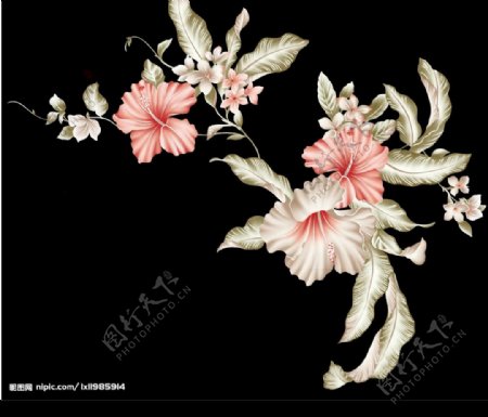 韩国花纹边框图片