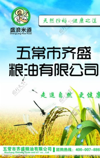 水稻米业海报图片