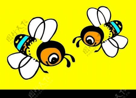 两只蜜蜂图片
