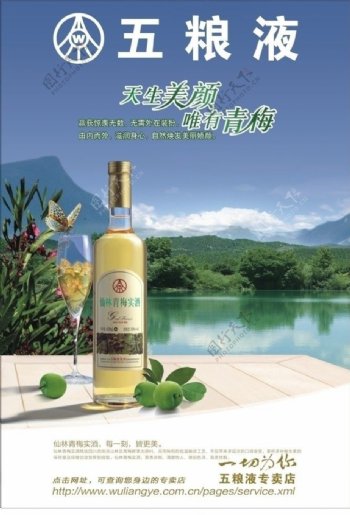 五粮液果酱酒图片