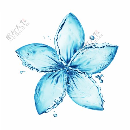液态水组成的花瓣图案创图片