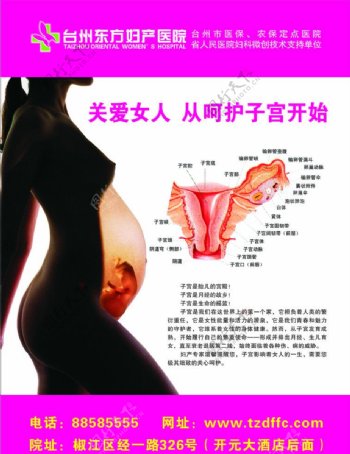 海报关爱女人呵护子宫图片