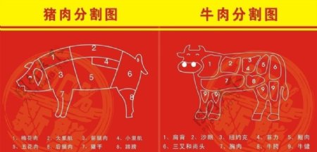 猪肉牛肉分割图图片