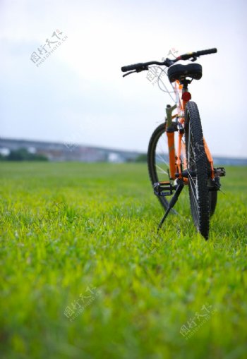 亲子休闲脚踏车0011