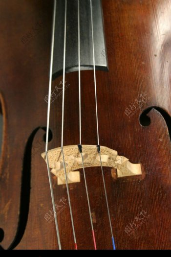 小提琴0054