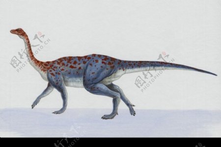 白垩纪恐龙0004
