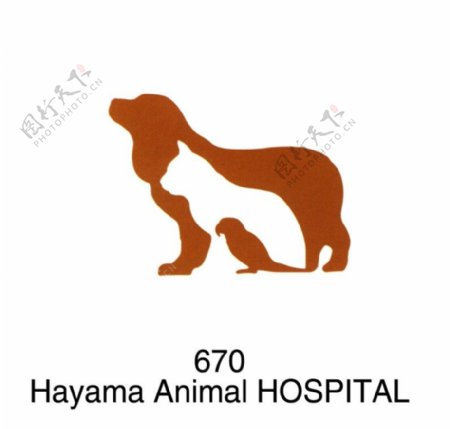 动物医院0022