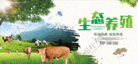 绿色健态养殖宣传海报
