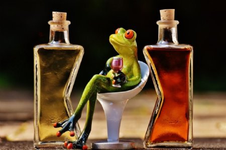 青蛙品酒