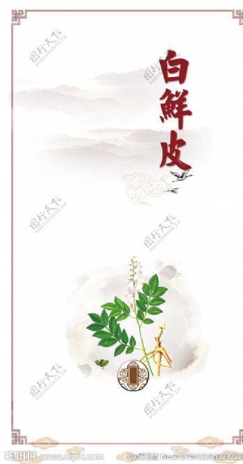 白鲜皮传统清新海报