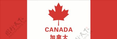中加友好加拿大国旗枫叶