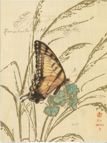 蝴蝶植物装饰画