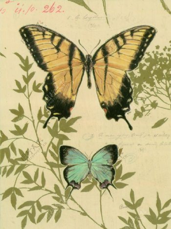 蝴蝶植物装饰油画