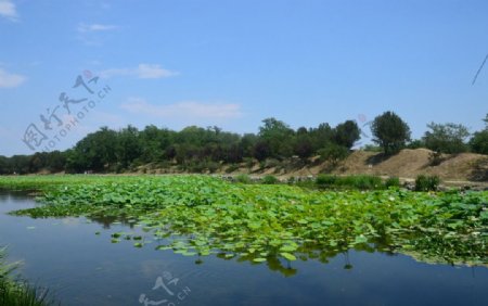 圆明园风景