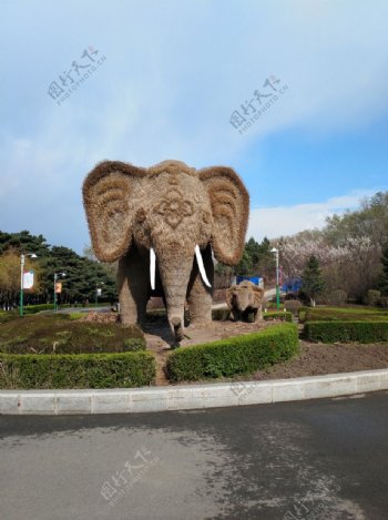 大象植物园