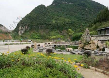 万峰湖水产